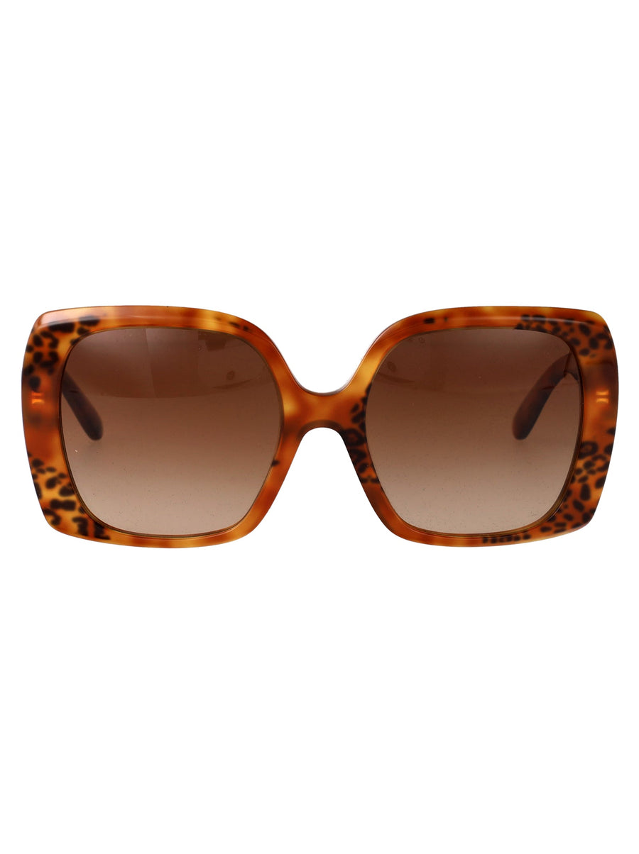 Dolce & Gabbana 0dg4475 Leopard Acetate Square Sunglasses — Brown