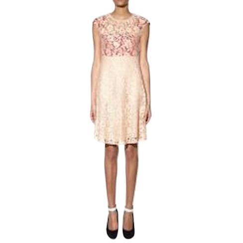 Joseph Nude Lace Detailed Frances Dress
