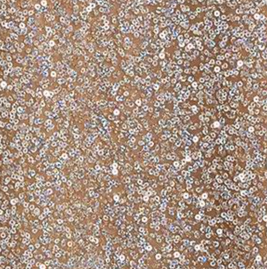 Costarellos Sequinned Ella Maxi Skirt