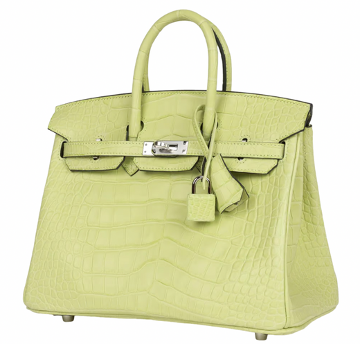 Jaune Bourgeon Birkin 25 cm in Mississippiensis Alligator Matte with Palladium Hardware