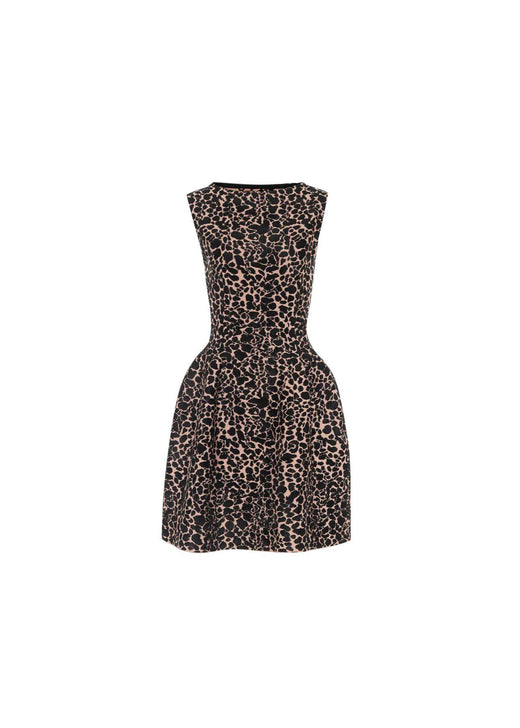 leopard print intarsia knit skater dress