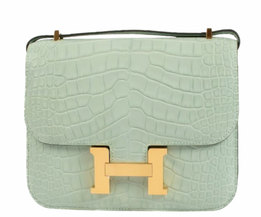 Matte Vert d'Eau Mississipiensis Alligator 18cm Mini Constance with Gold Hardware