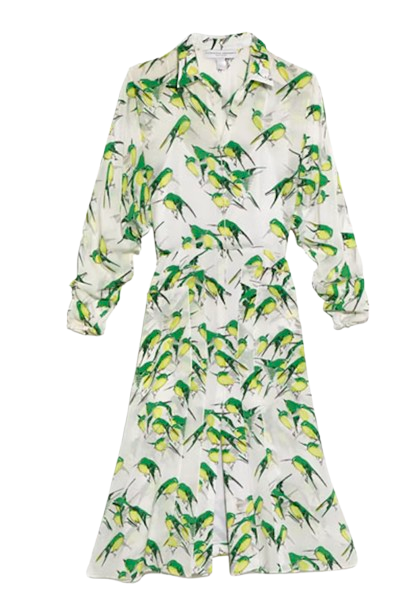 Long Sleeved Belted bird Print Dress