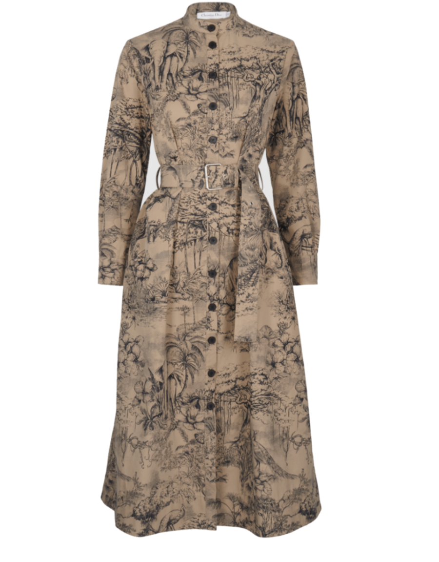 Christian Dior Toile de Jouy Belted Dress