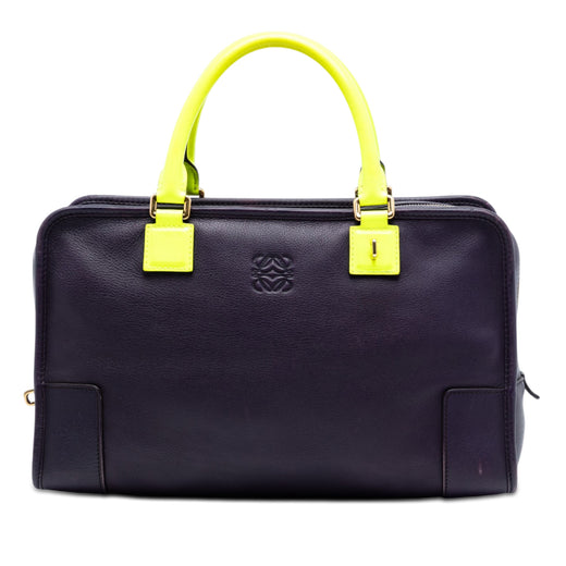 Special Edition Bicolor Goatskin Amazona 36 - Image 1