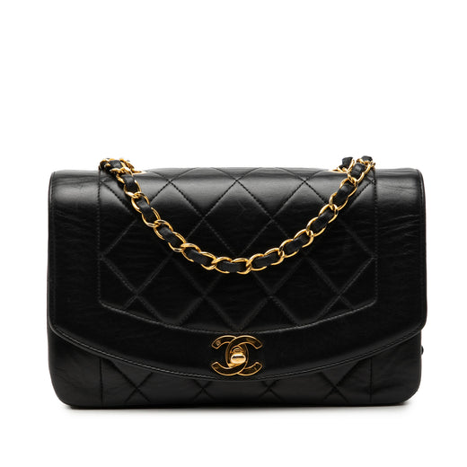 Small Lambskin Diana Flap - Image 1
