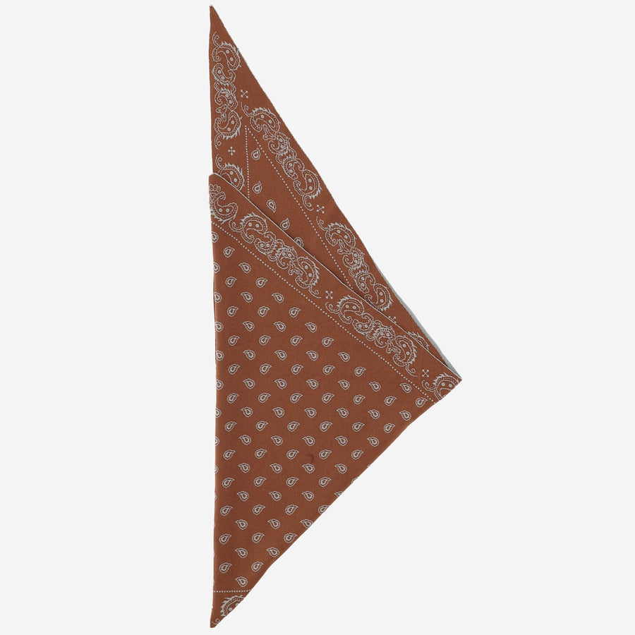 Guest Residence Cotton-Silk Scarf — Brown Scarfs