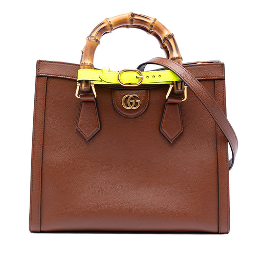 Medium Calfskin Bamboo Diana Satchel - Image 1