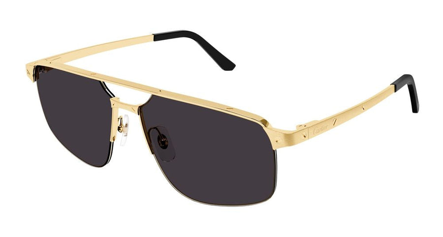 Cartier Ct0385s Gold Metal Rectangle Sunglasses —