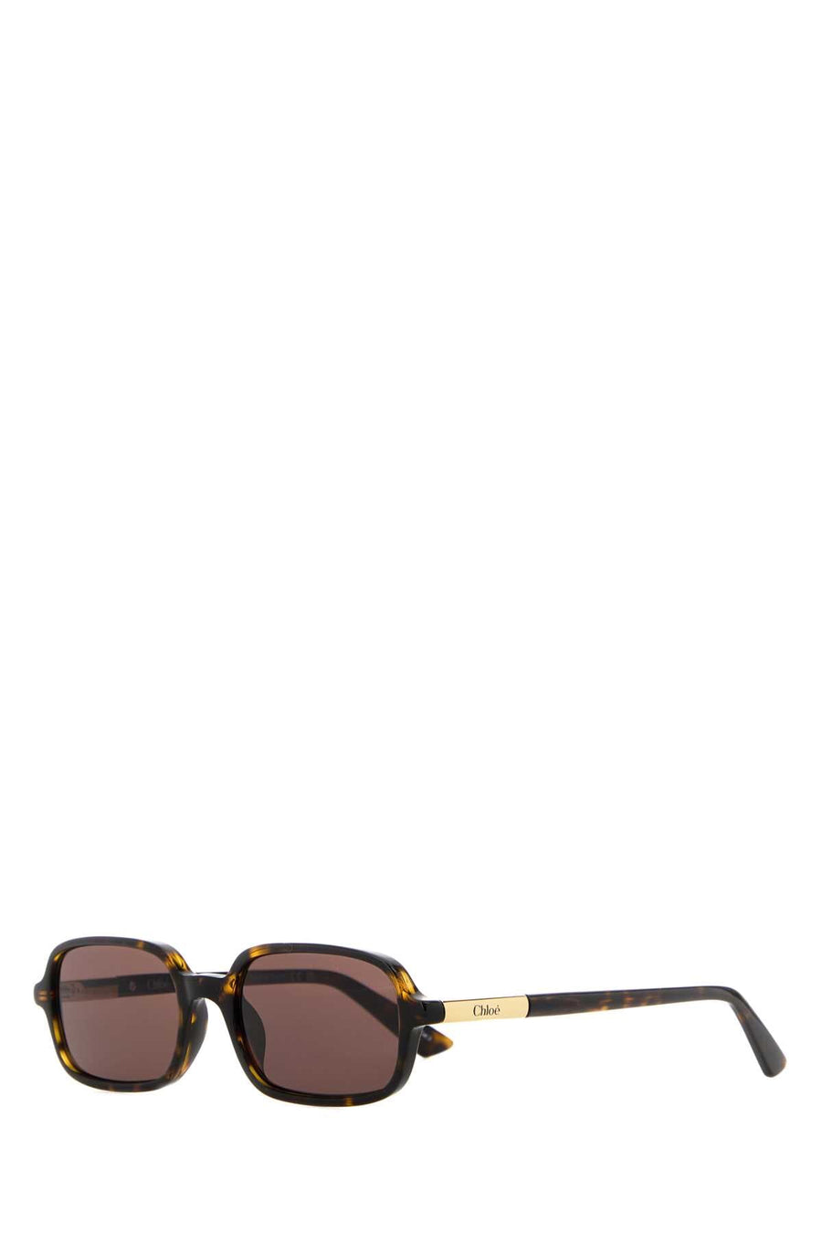 Chloé Ch0363s002 Tortoiseshell Acetate Sunglasses — Brown Exterior