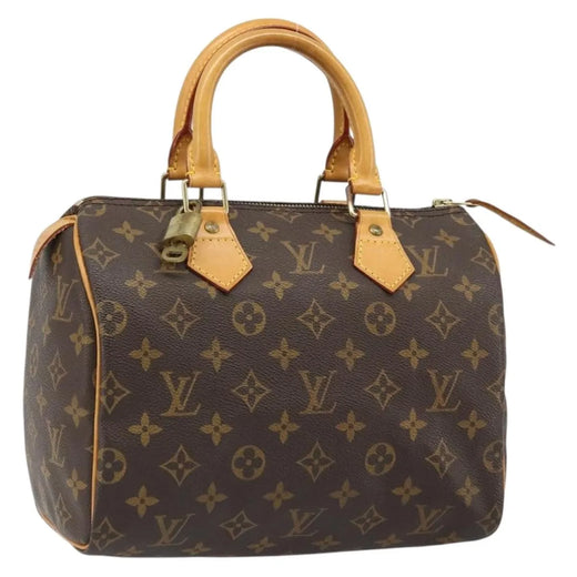 Louis Vuitton Speedy Monogram Canvas Neutral Bag