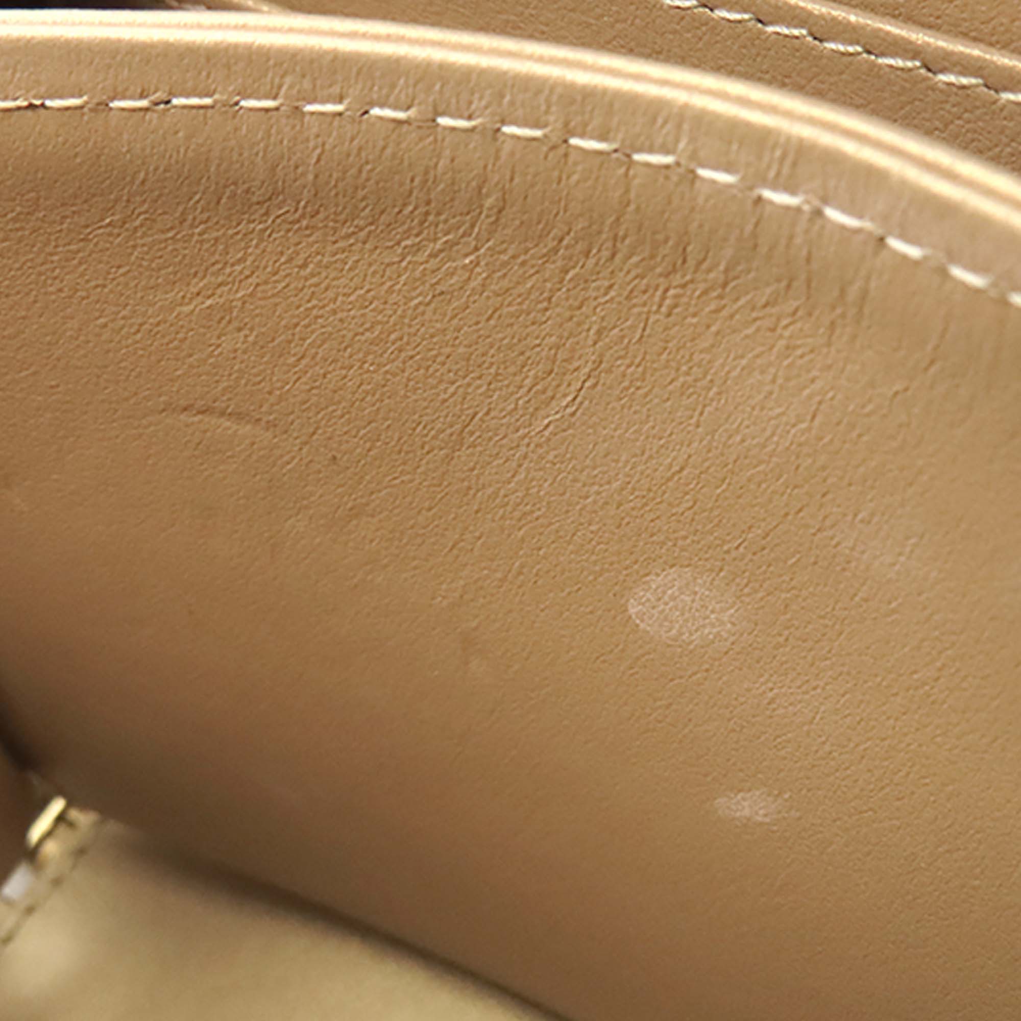 Mini CC Quilted Lambskin and Golden Plate Vanity Crossbody - Image 5
