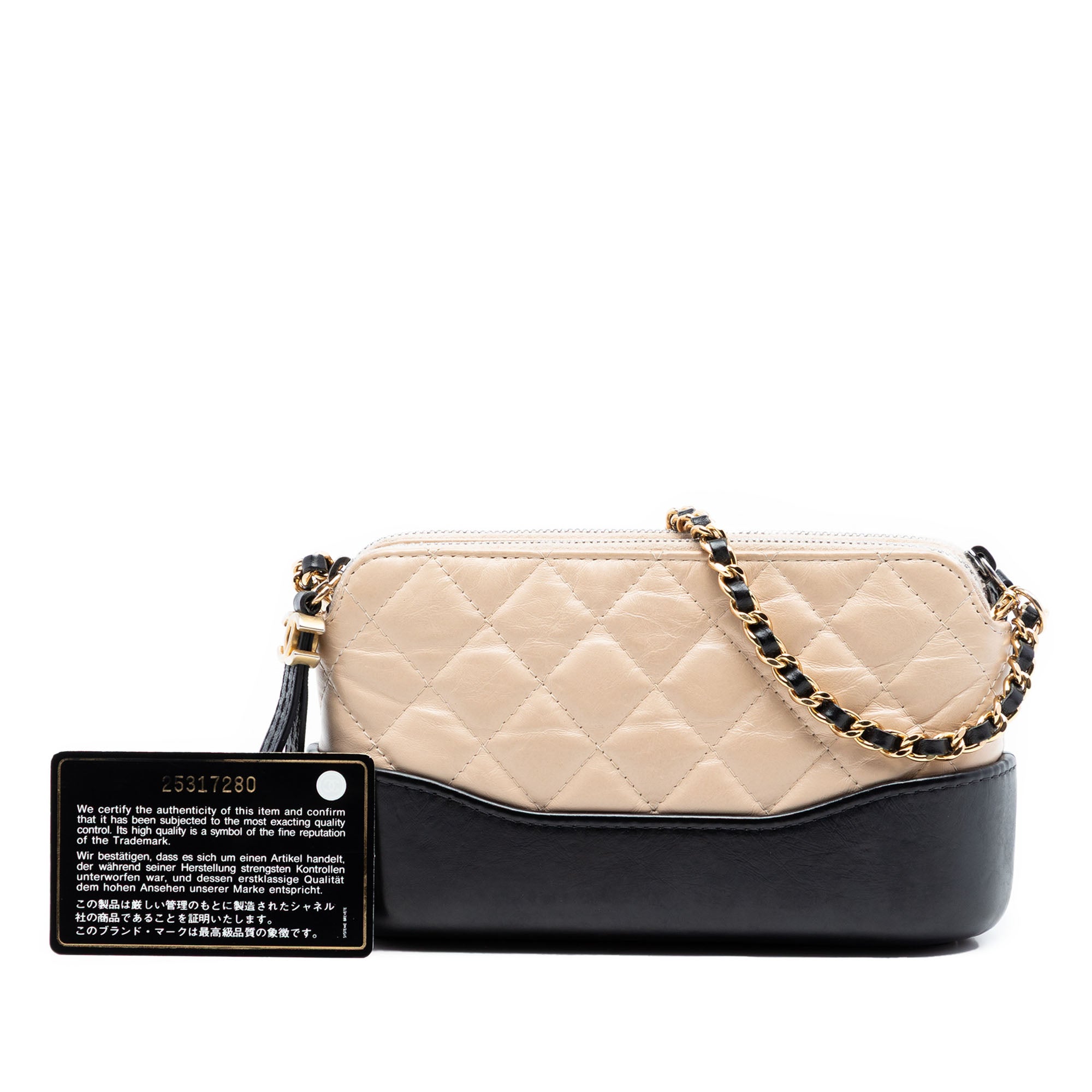 Bicolor Aged Calfskin Gabrielle Double Zip Clutch with Chain - Image 8