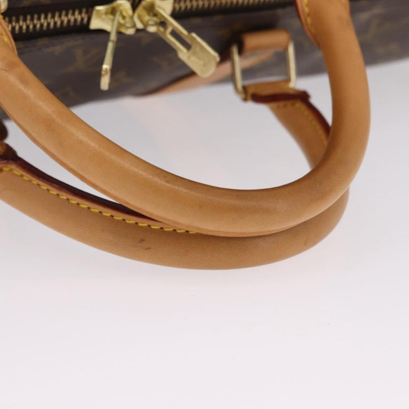 Louis Vuitton Keepall Monogram Canvas Brown Bag