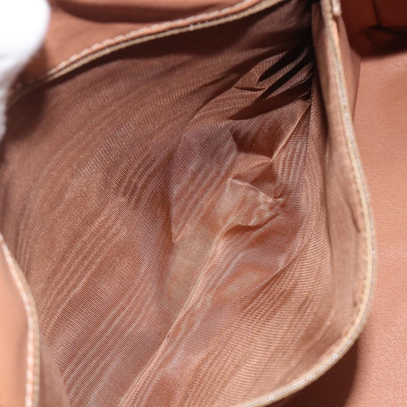 Celine Handbag Canvas Brown Bag