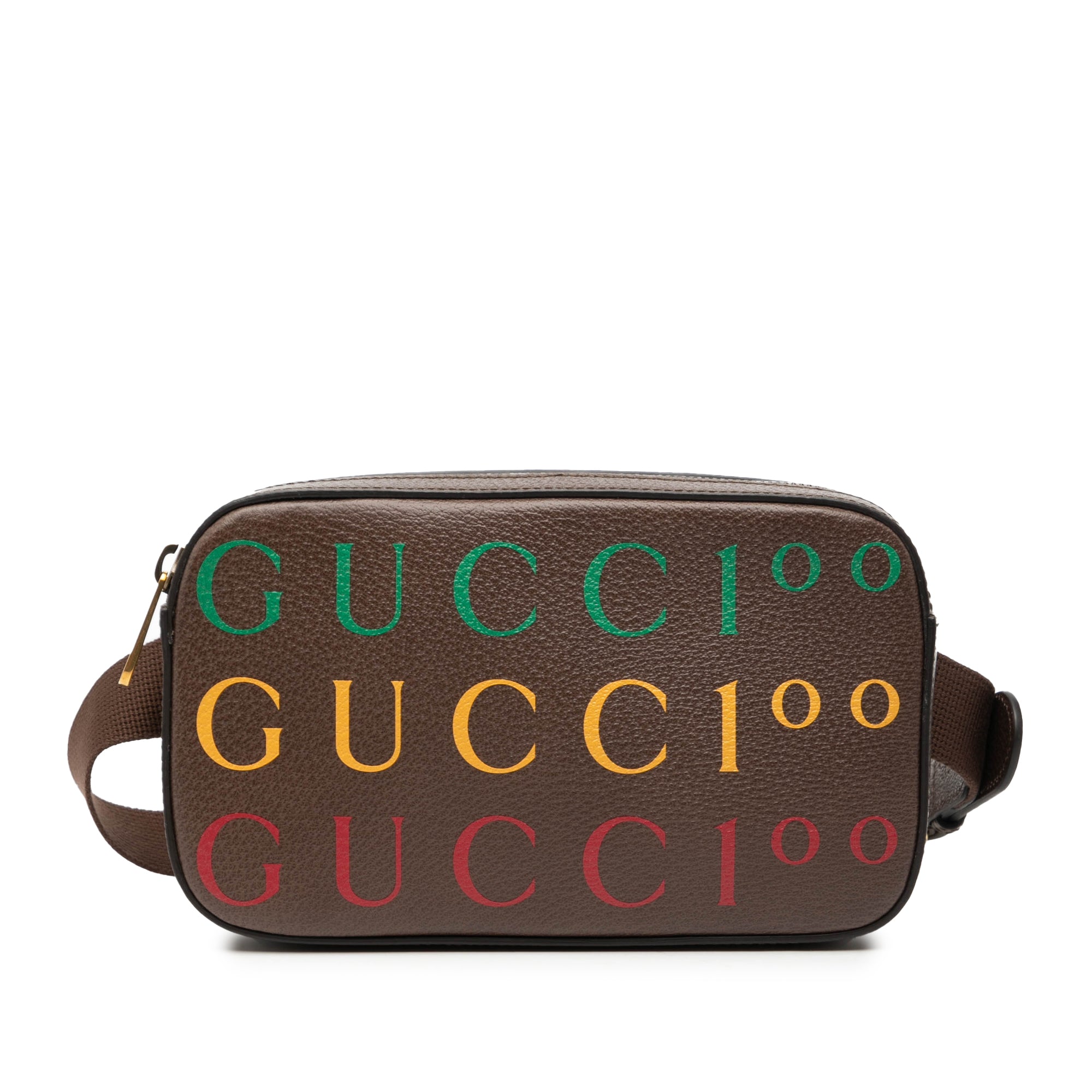 100th Anniversary Textured Dollar Calfskin Logo Belt Bag - Image 1