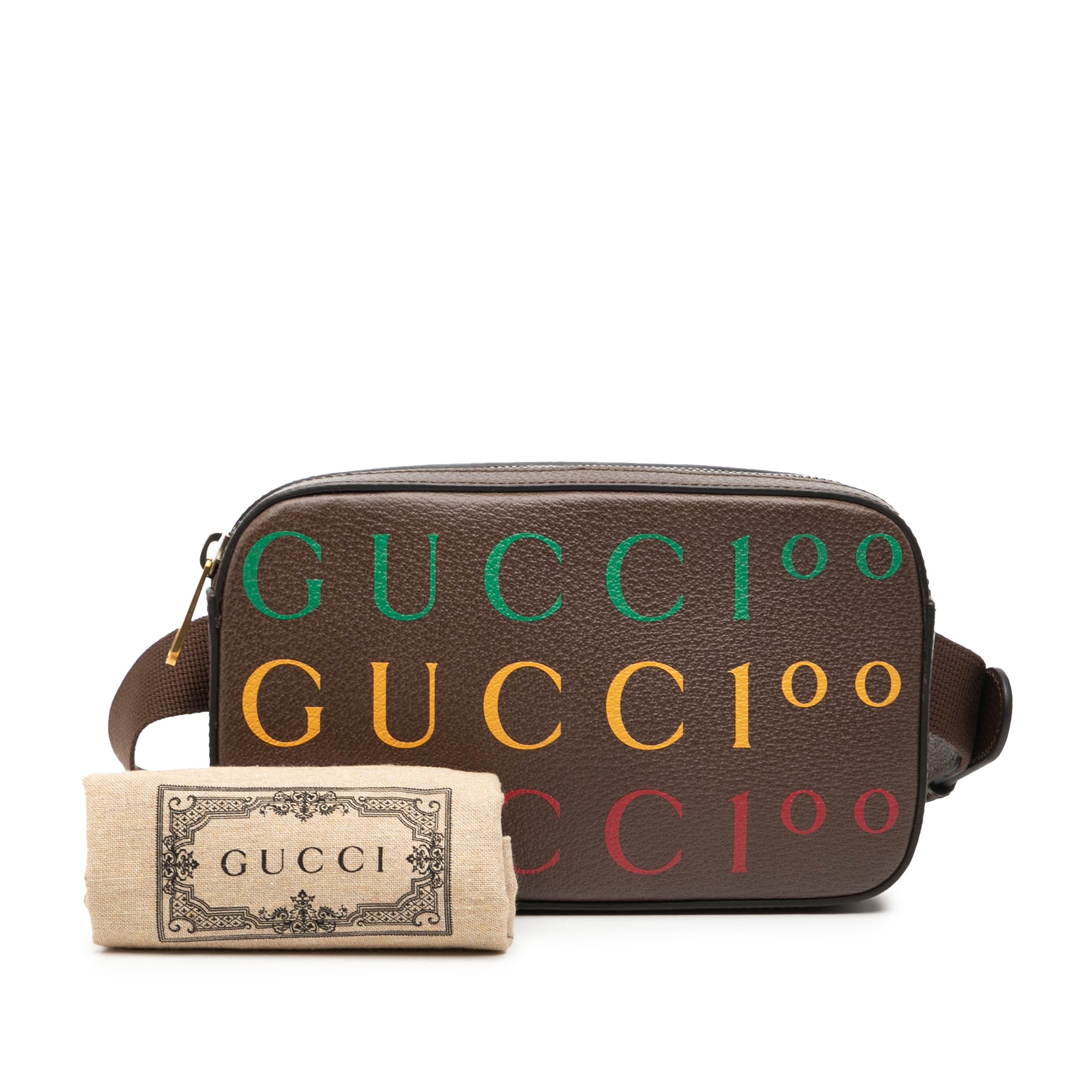 100th Anniversary Textured Dollar Calfskin Logo Belt Bag - Image 7