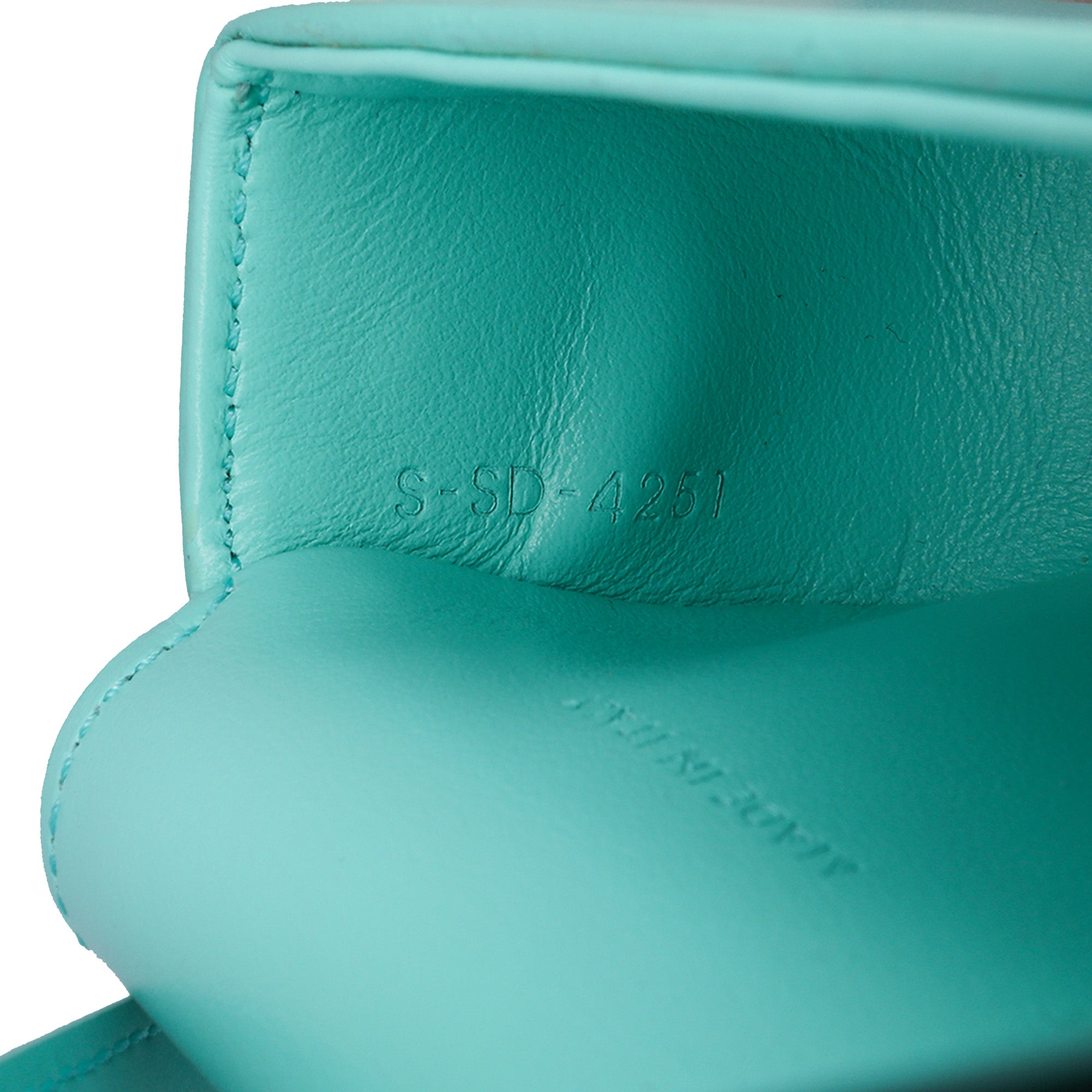 Leather Triomphe AirPods Case with Strap - Image 6