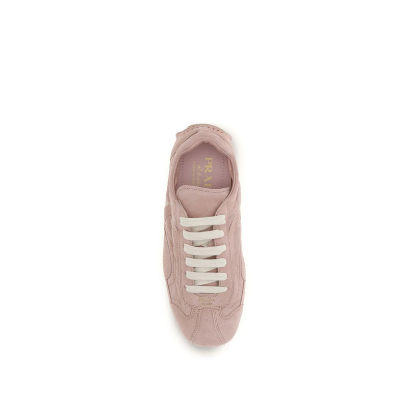 Multicolor Lamb Ovis Aries Aries Sneakers