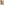         Beige Silk Cardigan
