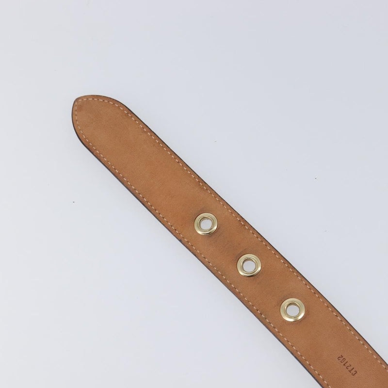 Louis Vuitton Ceinture Trio Belt Monogram Canvas Brown