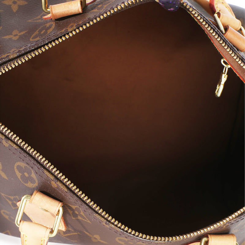 Louis Vuitton Monogram Canvas Speedy 30 Brown Handbag