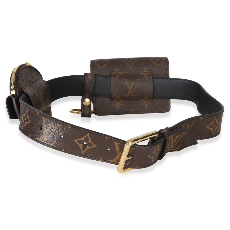 Louis Vuitton Monogram Canvas Daily Multi Pocket Belt Brown Handbag