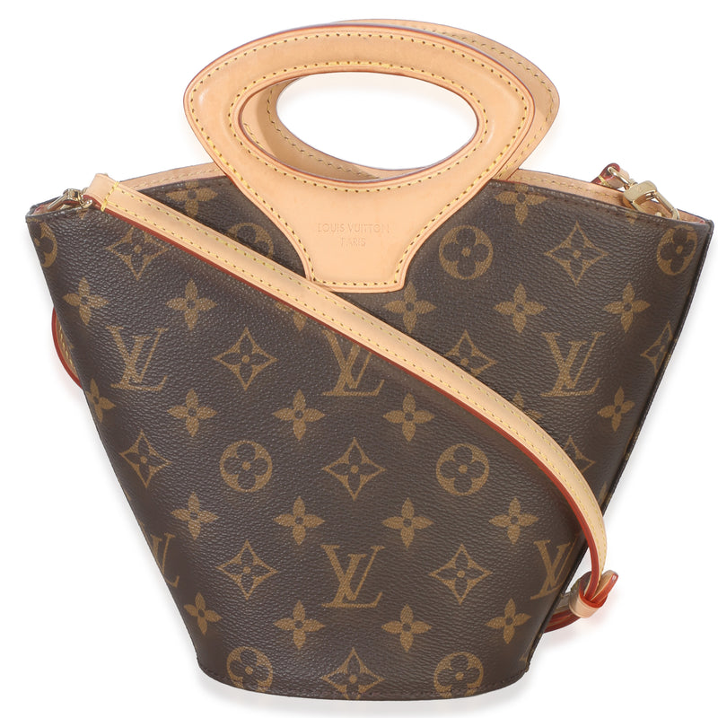 Louis Vuitton Monogram Canvas Rivage Bb Brown Coated Handbag