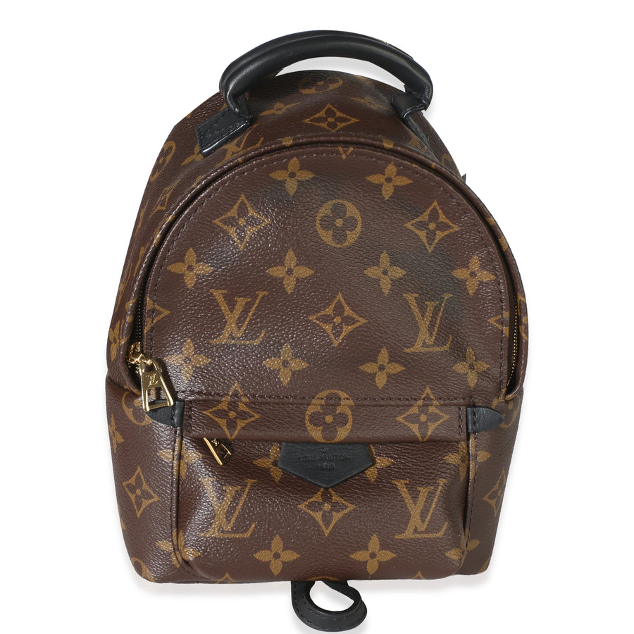 Louis Vuitton Monogram Canvas Mini Palm Springs Brown Bag