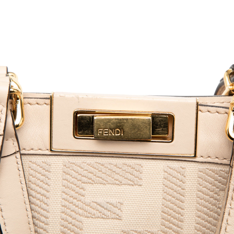 Zucca Embroidered Canvas Peekaboo X Tote - Image 5