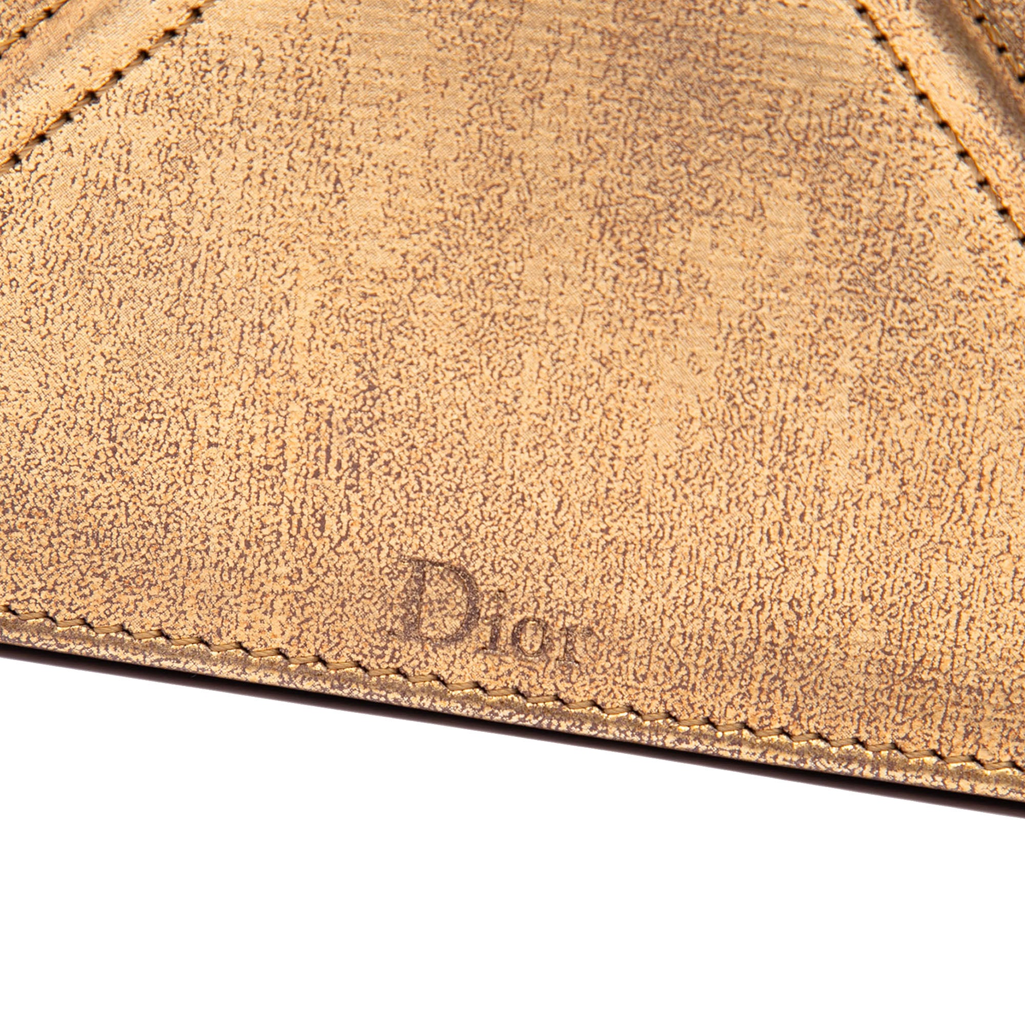 Metallic Calfskin Diorama Wallet on Chain - Image 5
