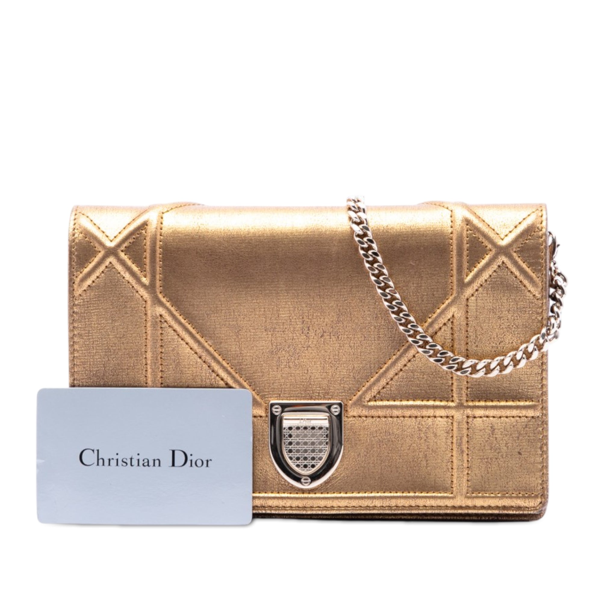 Metallic Calfskin Diorama Wallet on Chain - Image 7