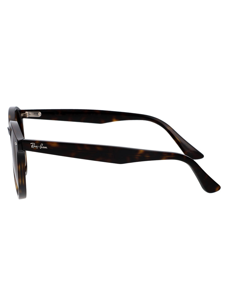 Ray-Ban 0rb7680s Sunglasses — Brown Acetate