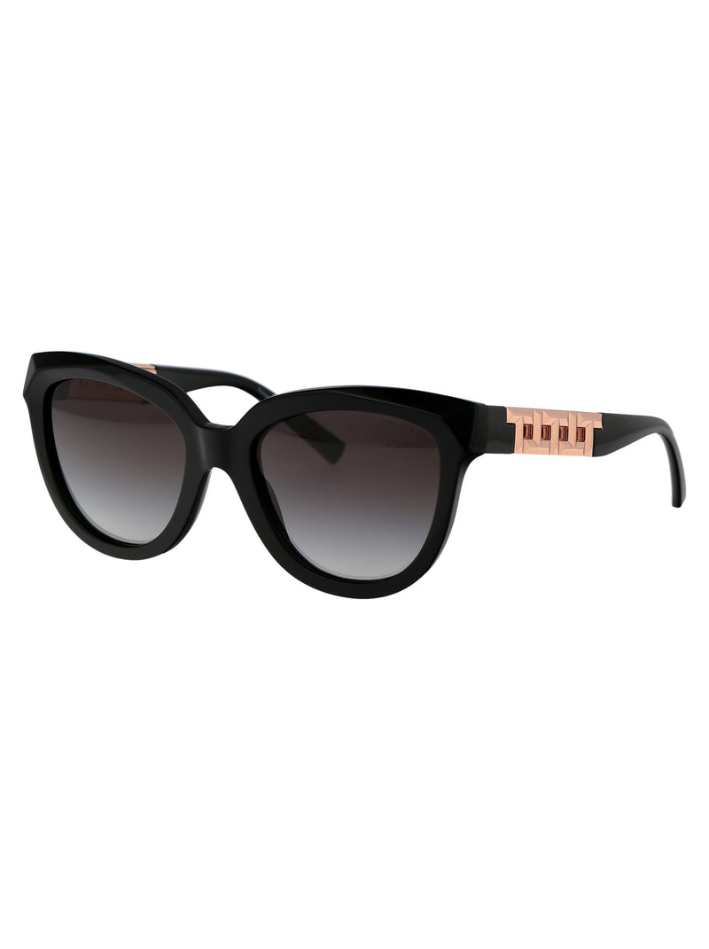 Tiffany & Co. 0tf4215 Cat-Eye Acetate Sunglasses — Black