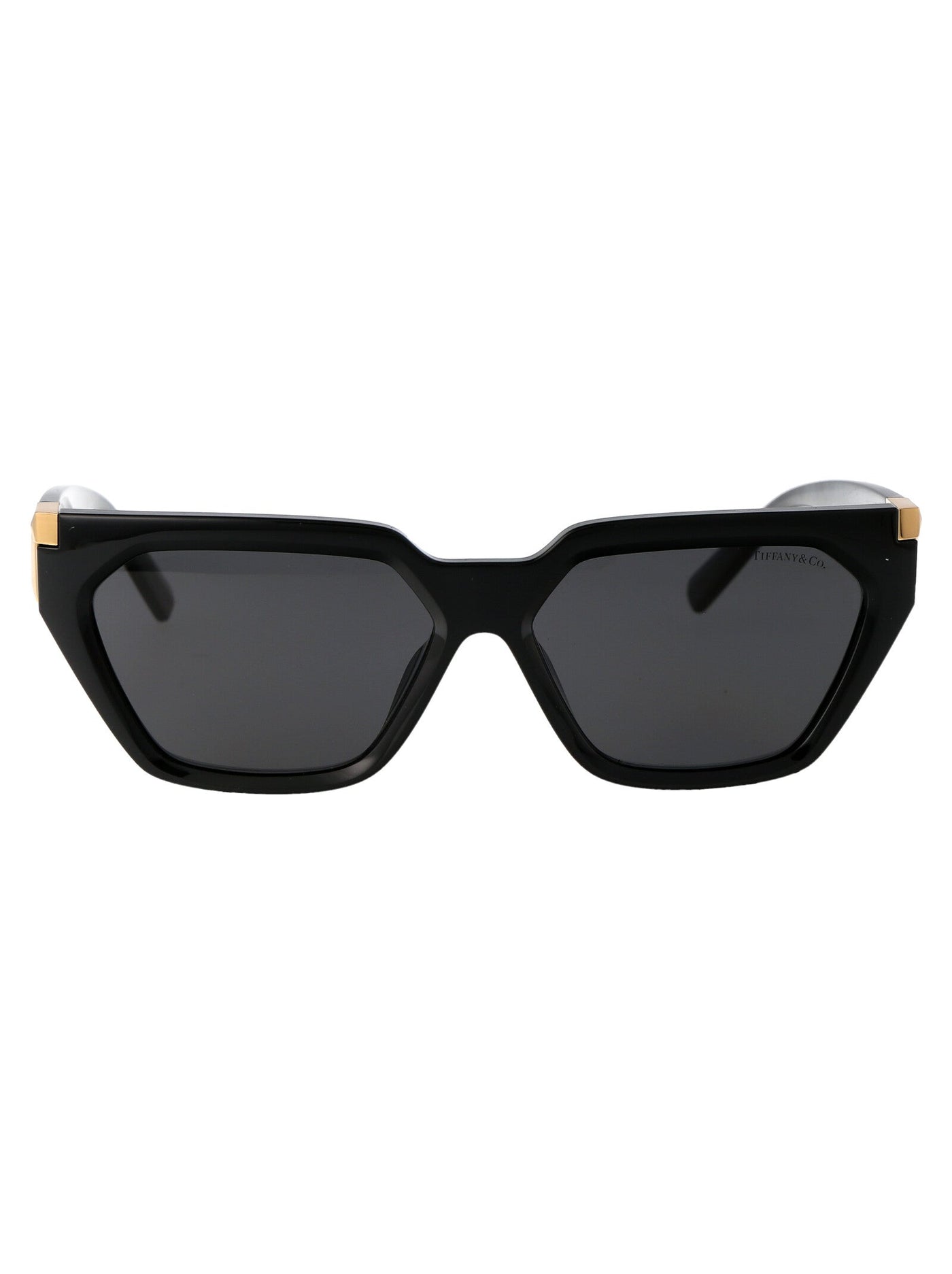 Tiffany & Co. 0tf4205u Injected Frame Sunglasses — Black