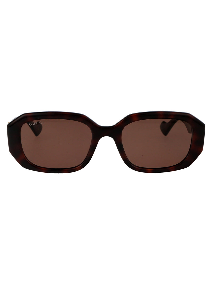 Gucci Gg1535s Havana Brown Injected Sunglasses —