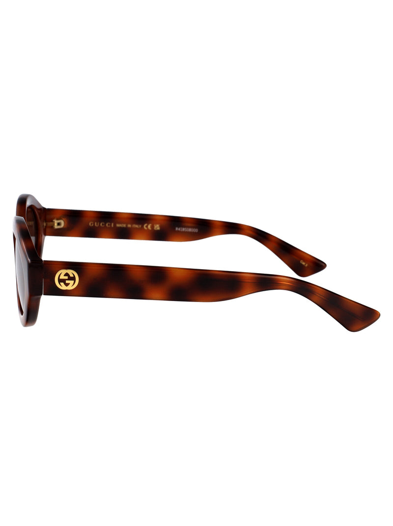 Gucci Gg1579s Injected Havana Sunglasses — Brown