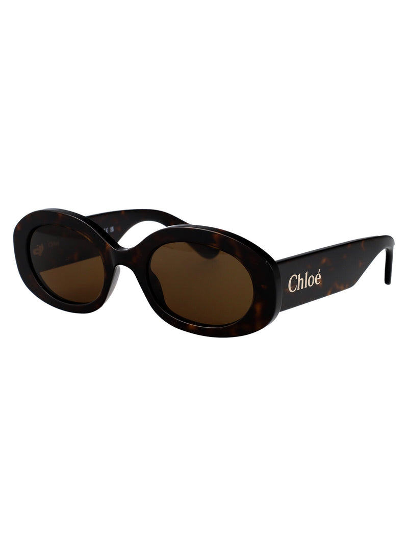 Chloé Ch0258s Oval Tortoiseshell Acetate Sunglasses — Havana Brown