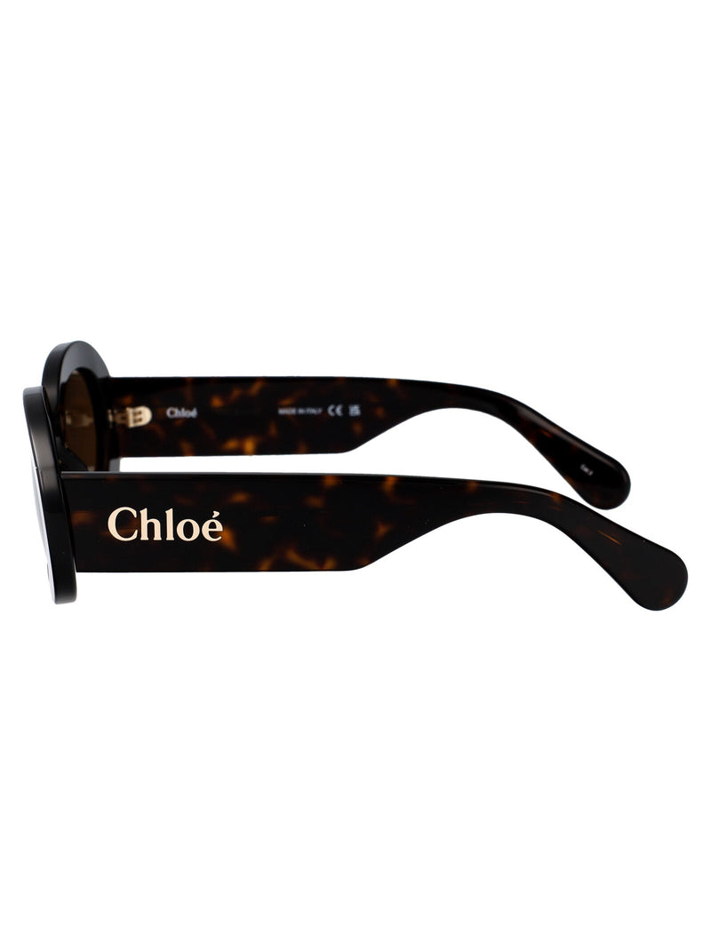Chloé Ch0258s Oval Tortoiseshell Acetate Sunglasses — Havana Brown