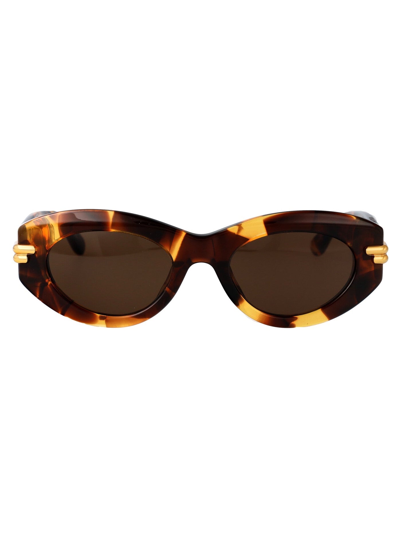 Bottega Veneta Bv1322s Havana Acetate Sunglasses — Brown