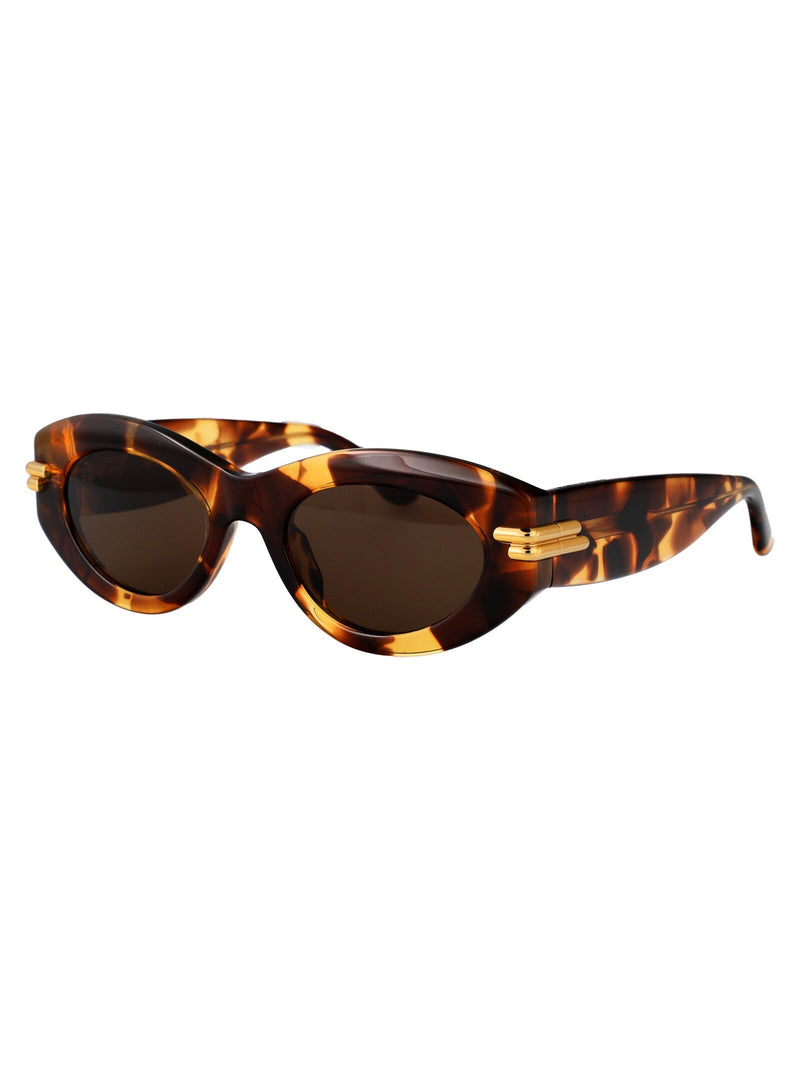 Bottega Veneta Bv1322s Havana Acetate Sunglasses — Brown