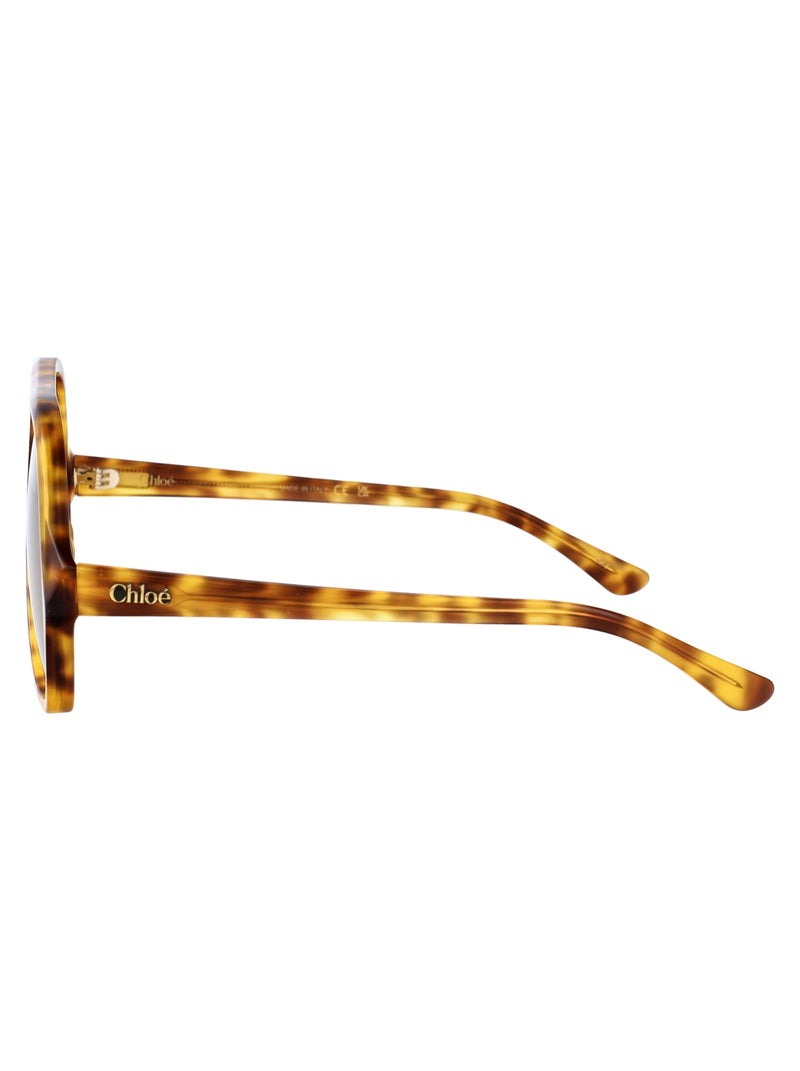Chloé Ch0289s Sunglasses — Brown Acetate