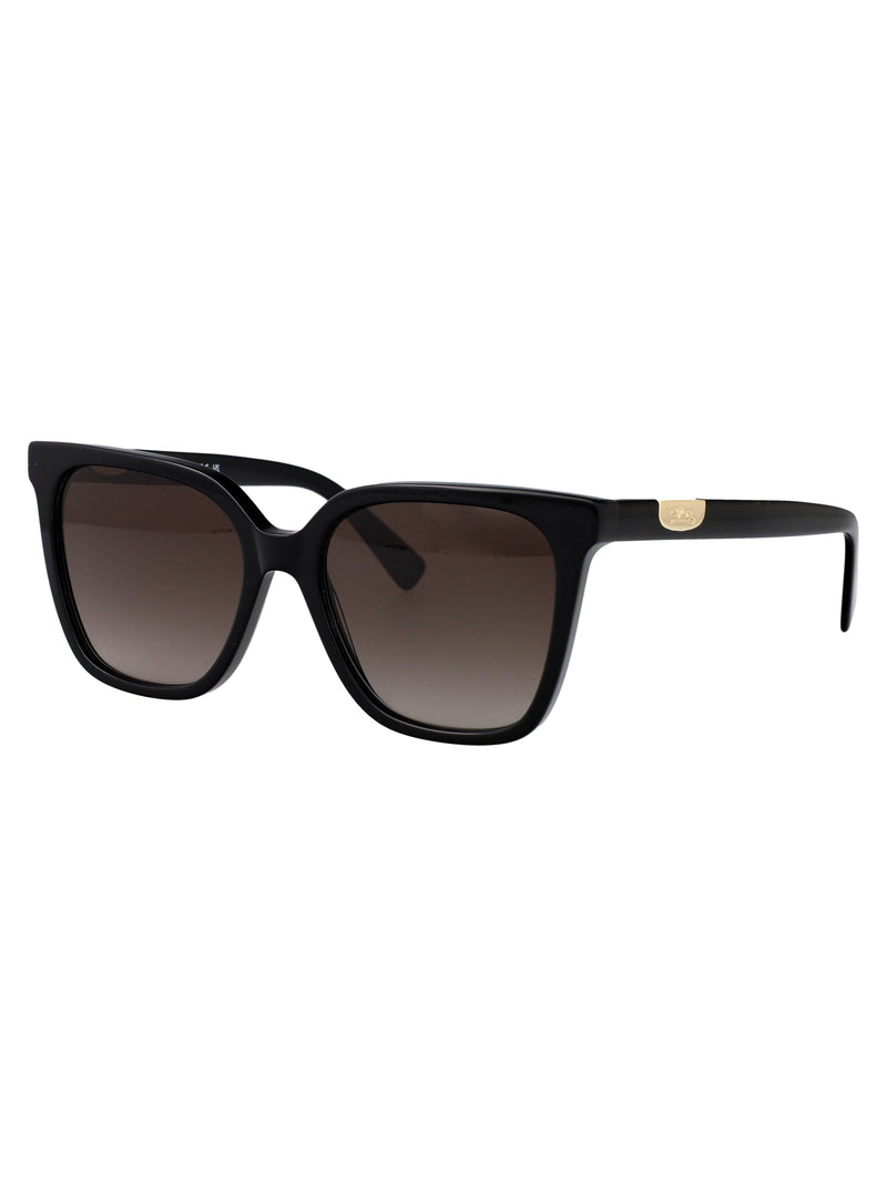 Longchamp Lo772s Black Acetate Sunglasses —