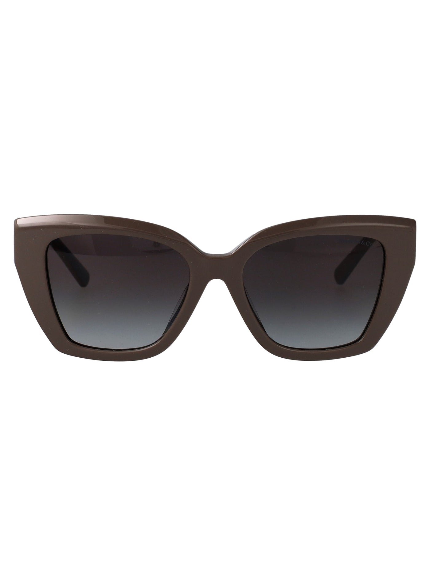 Tiffany & Co. 0tf4239u Cat-Eye Acetate Sunglasses — Brown