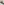         Dior J'Adior Black Sunglasses
