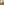         Burberry Yellow No Bra Gym Top