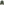        Green Camo Print Jacket