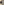         Two-Tone Archive Aviator