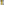         Giambattista Valli yellow dress 8