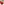         Hermes Birkin 30 in Red Ostrich GHW